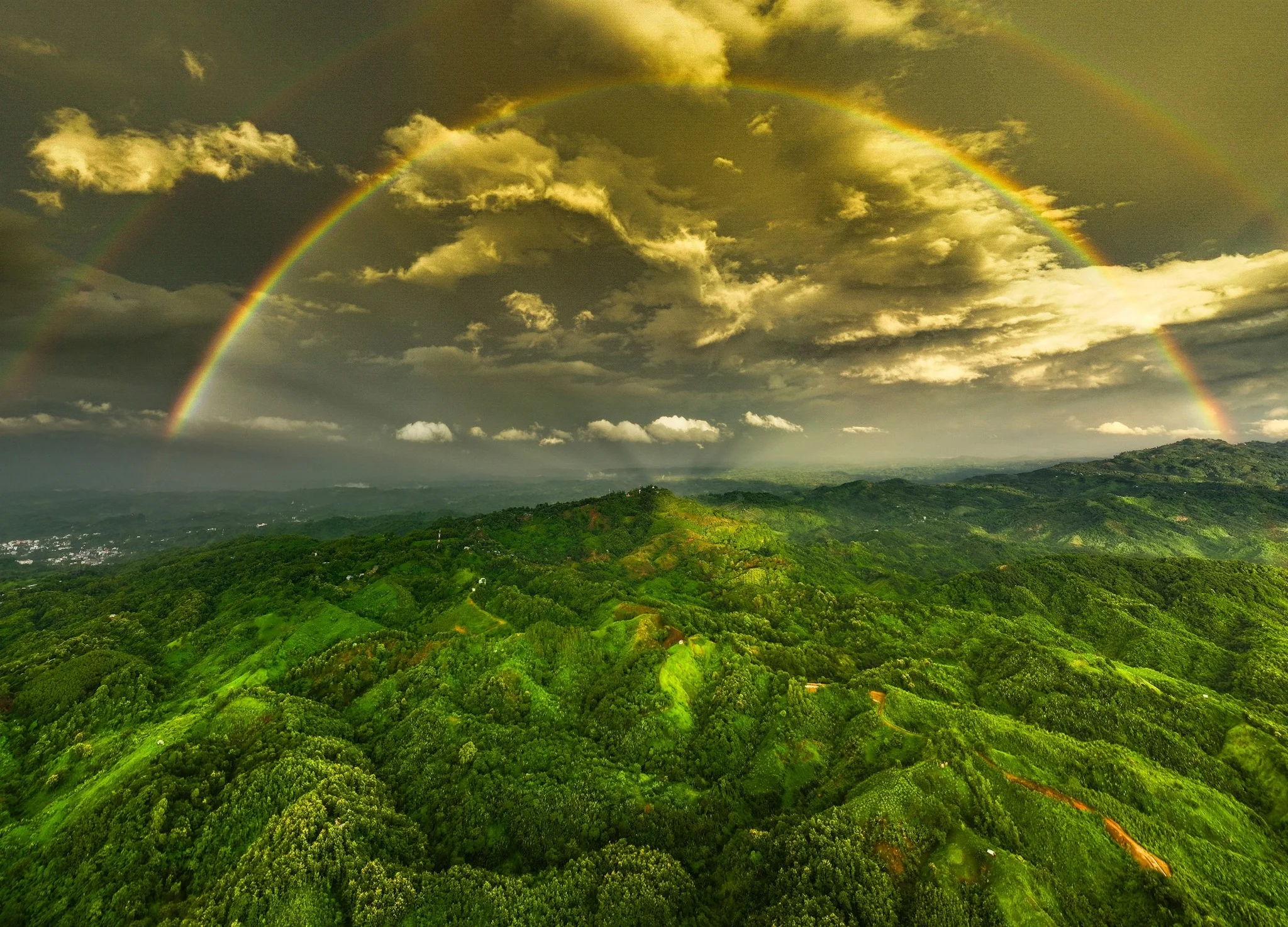 Social impact image 1